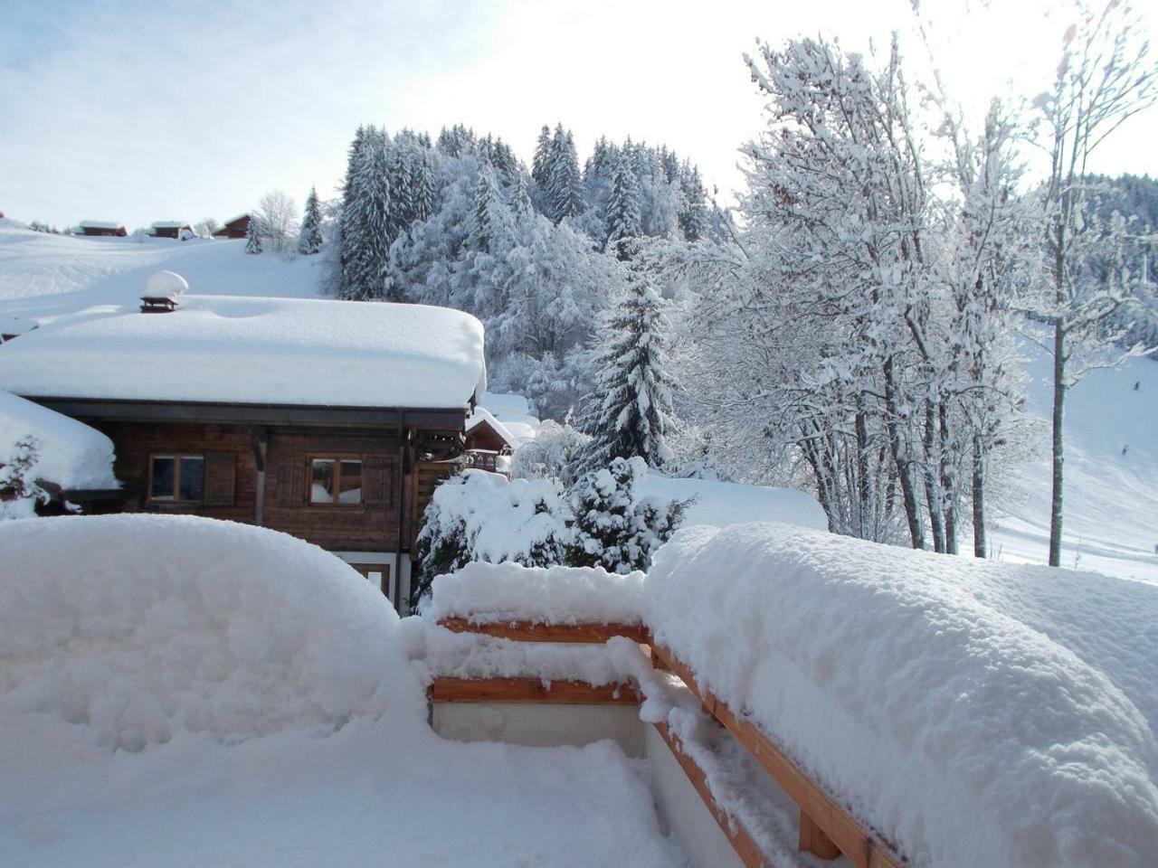 Chalet Jonquille Les Gets Exterior foto