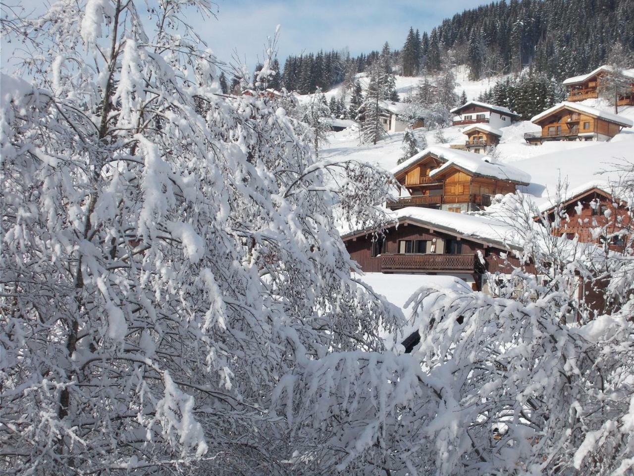 Chalet Jonquille Les Gets Exterior foto